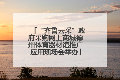 “齐鲁云采”政府采购网上商城德州体育器材馆推广应用现场会举办