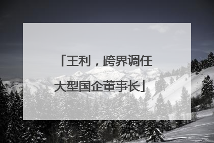 王利，跨界调任大型国企董事长