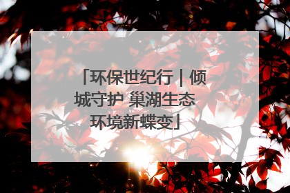 环保世纪行｜倾城守护 巢湖生态环境新蝶变