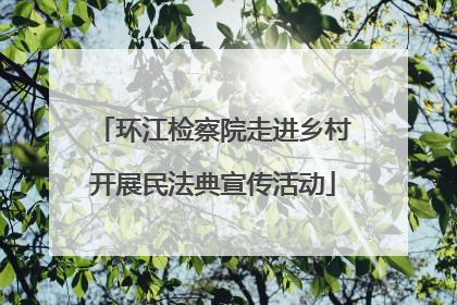 环江检察院走进乡村开展民法典宣传活动