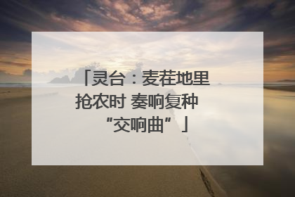 灵台：麦茬地里抢农时 奏响复种“交响曲”