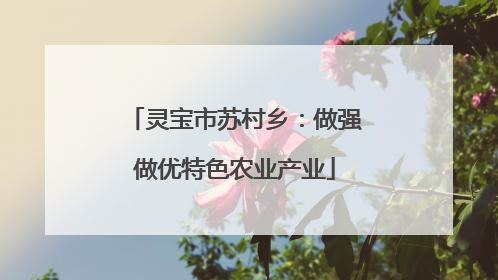 灵宝市苏村乡：做强做优特色农业产业