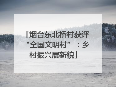 烟台东北桥村获评“全国文明村”：乡村振兴展新貌