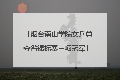 烟台南山学院女乒勇夺省锦标赛三项冠军