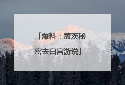 爆料：盖茨秘密去白宫游说