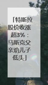 特斯拉股价收涨超3%：马斯克父亲劝儿子低头