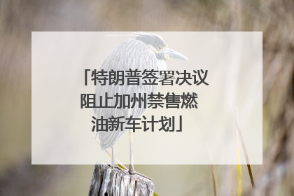 特朗普签署决议 阻止加州禁售燃油新车计划