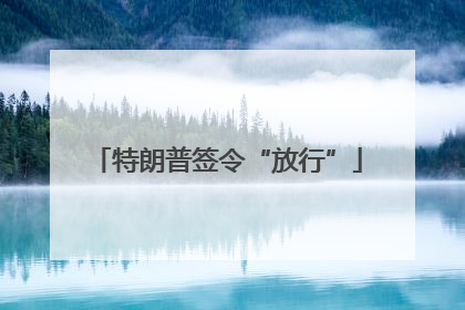 特朗普签令“放行”