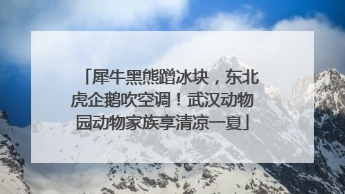 犀牛黑熊蹭冰块，东北虎企鹅吹空调！武汉动物园动物家族享清凉一夏