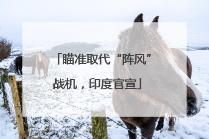 瞄准取代“阵风”战机，印度官宣