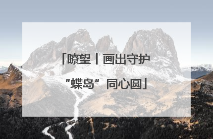 瞭望丨画出守护“蝶岛”同心圆