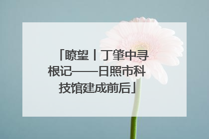瞭望丨丁肇中寻根记——日照市科技馆建成前后