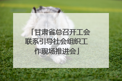 甘肃省总召开工会联系引导社会组织工作现场推进会