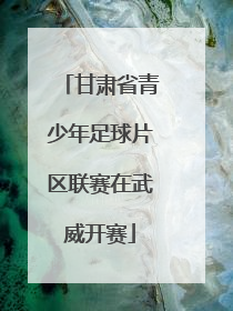 甘肃省青少年足球片区联赛在武威开赛