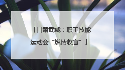 甘肃武威：职工技能运动会“燃情收官”