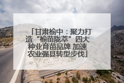 甘肃榆中：聚力打造“榆苗陇萃”四大种业育苗品牌 加速农业强县转型步伐