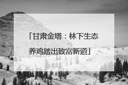 甘肃金塔：林下生态养鸡踏出致富新道