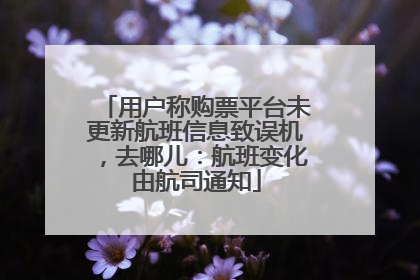 用户称购票平台未更新航班信息致误机，去哪儿：航班变化由航司通知