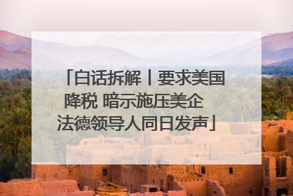 白话拆解丨要求美国降税 暗示施压美企 法德领导人同日发声