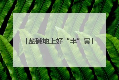 盐碱地上好“丰”景