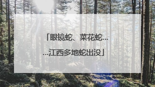 眼镜蛇、菜花蛇……江西多地蛇出没