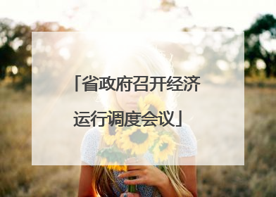 省政府召开经济运行调度会议