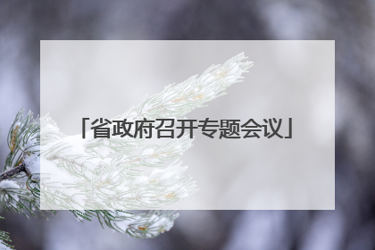 省政府召开专题会议