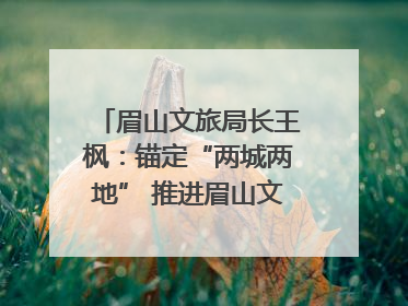 眉山文旅局长王枫：锚定“两城两地” 推进眉山文旅融合高质量发展｜文旅局长说