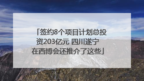 签约8个项目计划总投资203亿元 四川遂宁在西博会还推介了这些