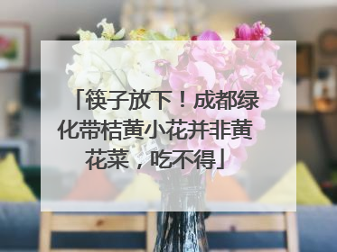 筷子放下！成都绿化带桔黄小花并非黄花菜，吃不得