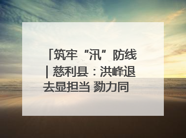 筑牢“汛”防线｜慈利县：洪峰退去显担当 勠力同心启新篇