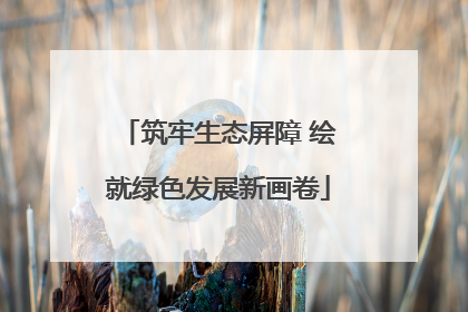 筑牢生态屏障 绘就绿色发展新画卷