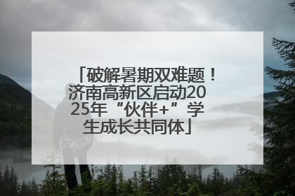 破解暑期双难题！济南高新区启动2025年“伙伴+”学生成长共同体