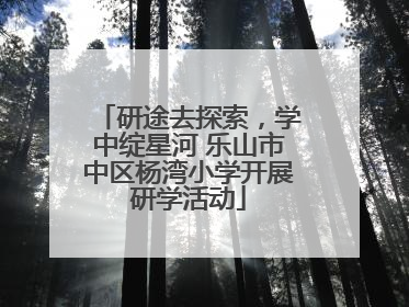 研途去探索，学中绽星河 乐山市中区杨湾小学开展研学活动