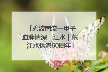 碧波南流一甲子 血脉情深一江水｜东江水供港60周年