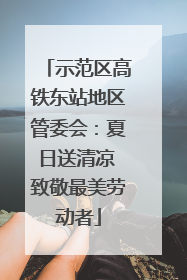 示范区高铁东站地区管委会：夏日送清凉 致敬最美劳动者
