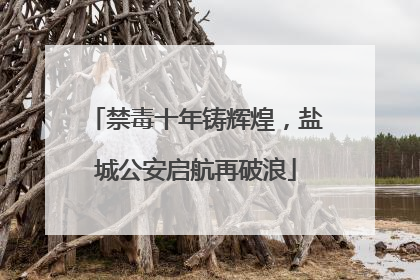 禁毒十年铸辉煌，盐城公安启航再破浪