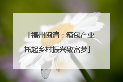 福州闽清：箱包产业托起乡村振兴致富梦