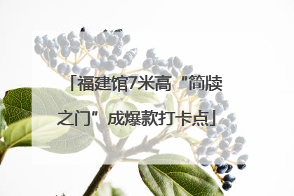 福建馆7米高“简牍之门”成爆款打卡点