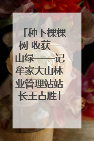 种下棵棵树 收获一山绿——记牟家大山林业管理站站长王占胜