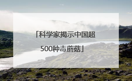 科学家揭示中国超500种毒蘑菇