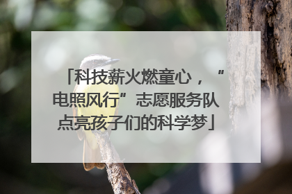 科技薪火燃童心，“电照风行”志愿服务队点亮孩子们的科学梦