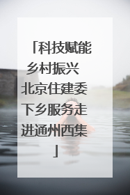 科技赋能乡村振兴 北京住建委下乡服务走进通州西集