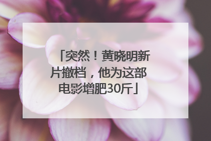 突然！黄晓明新片撤档，他为这部电影增肥30斤