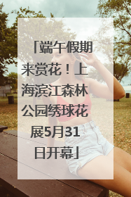 端午假期来赏花！上海滨江森林公园绣球花展5月31日开幕