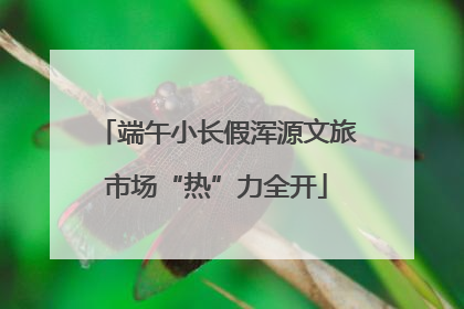 端午小长假浑源文旅市场“热”力全开