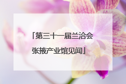 第三十一届兰洽会张掖产业馆见闻