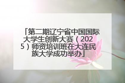 第二期辽宁省中国国际大学生创新大赛（2025）师资培训班在大连民族大学成功举办