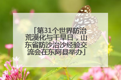第31个世界防治荒漠化与干旱日，山东省防沙治沙经验交流会在东阿县举办