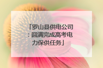 罗山县供电公司：圆满完成高考电力保供任务